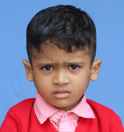 VIRKAR BAGHEL 